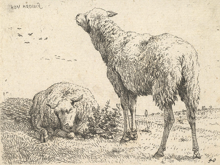 Two sheep, one shown frontally in a reclining position Relief by Karel Dujardin