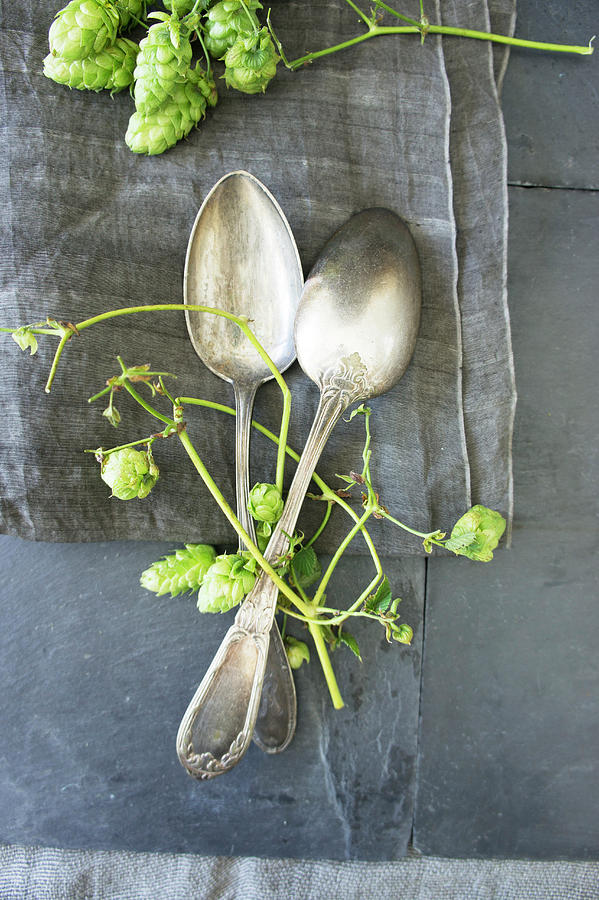 Two Silver Spoons With Hops Photograph by Martina Schindler
