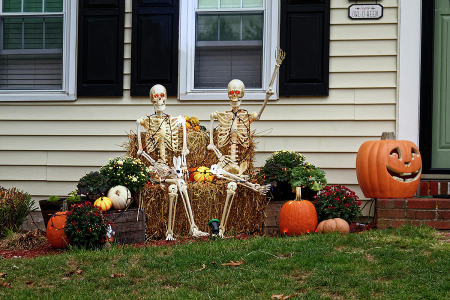 Two Skeletons Photograph by Sally Weigand