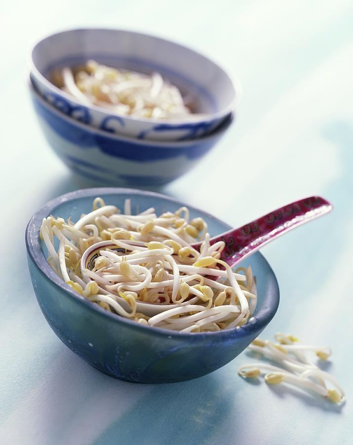 Two Small Bowls Of Beansprouts Photograph by Blueberrystudio