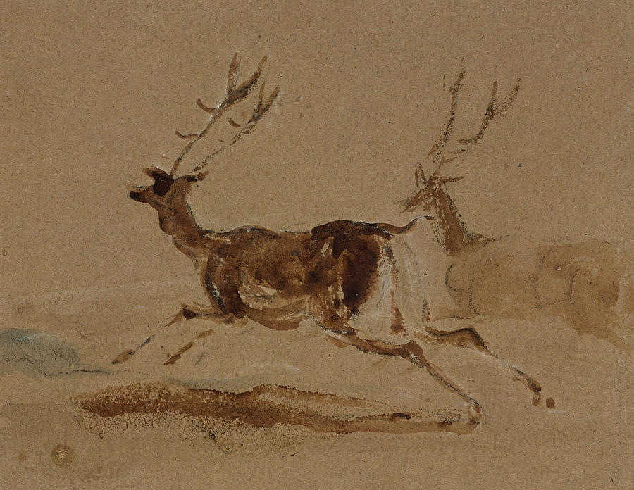 Two Stags Running Drawing by Edwin Landseer