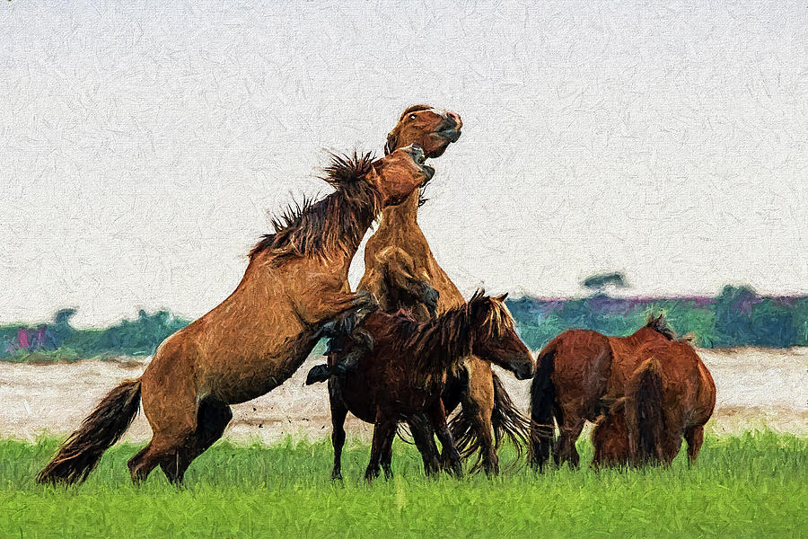Two stallions getting it on  paintography in the marsh  paintography Photograph by Dan Friend