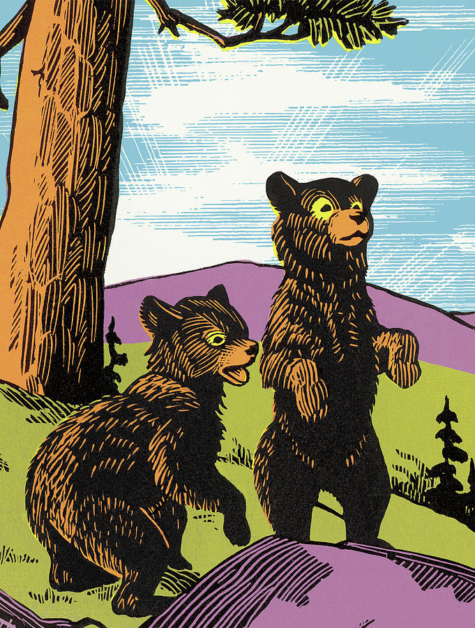 Nature Drawing - Two Startled Bears by CSA Images