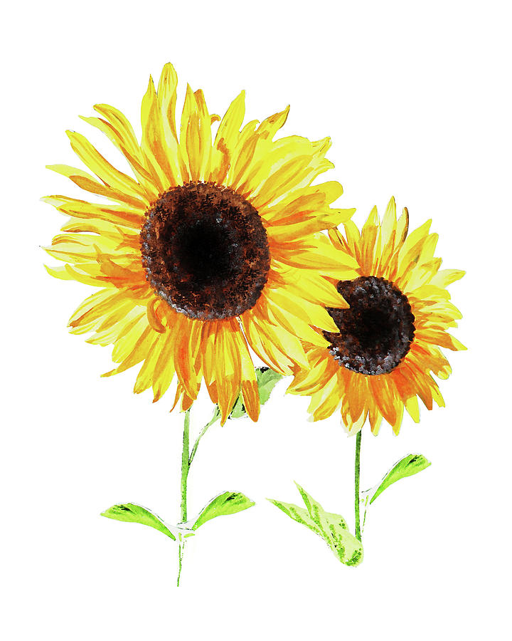 Two Sunny Sunflowers Watercolor Painting by Irina Sztukowski