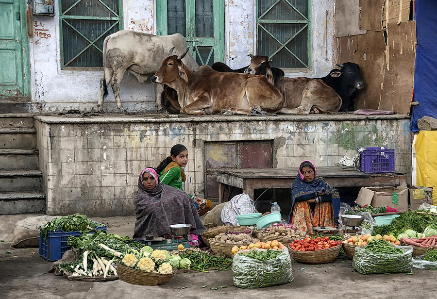 Cow Photograph - Two-tier Market by Eden Antho