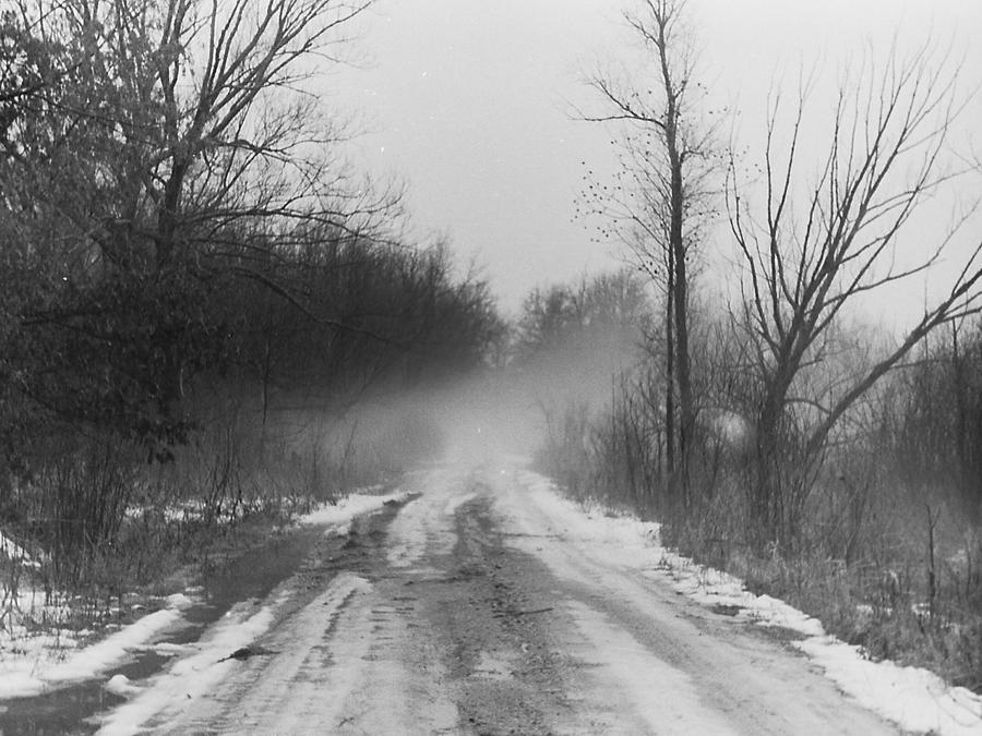 two-track-road-photograph-by-william-shaw