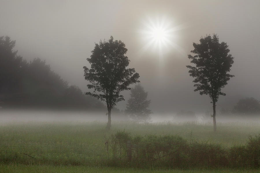 Tree Photograph - Two Trees & Sunburst, Logan, Ohio ?10 by Monte Nagler