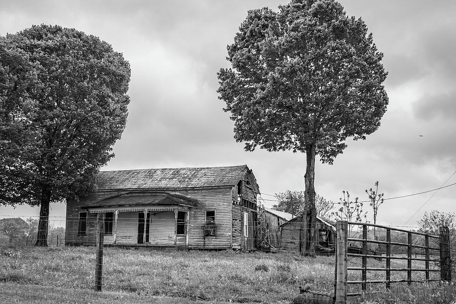 Two Trees in Kentucky Photograph by John McGraw