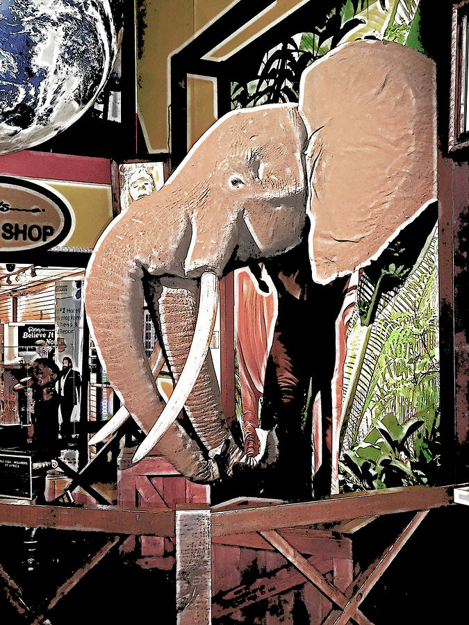 Two Trunked Elephant 1 Painting by Jeelan Clark