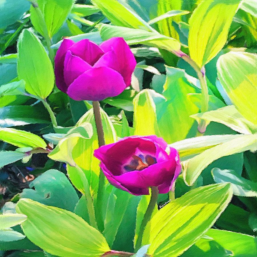 Two Tulips Rising Digital Art by Pamela Storch
