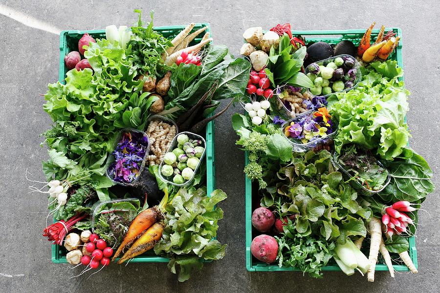 Two Vegetable Crates With Organic Vegetables And Lettuce seen From Above Photograph by Jalag / Markus Bassler