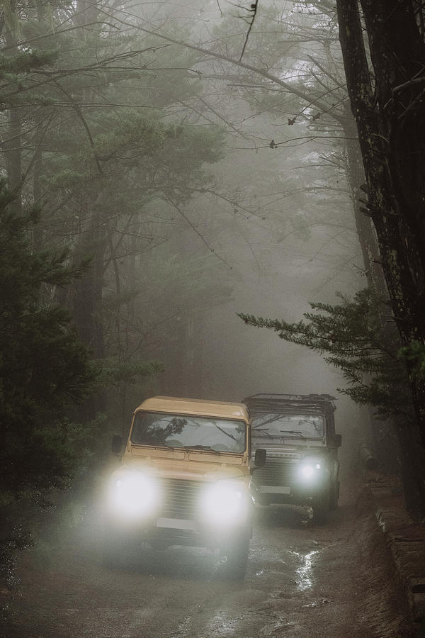 Car Photograph - Two Vehicles Amidst Foggy Forest by Sergio Villalba