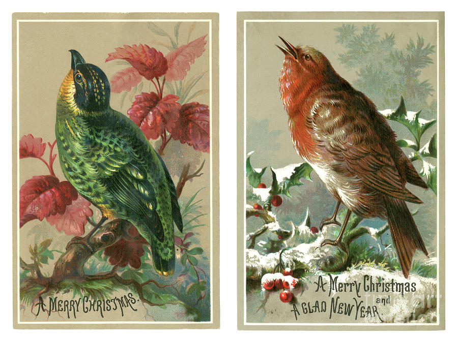 Two Victorian Christmas Cards Digital Art by Whitemay