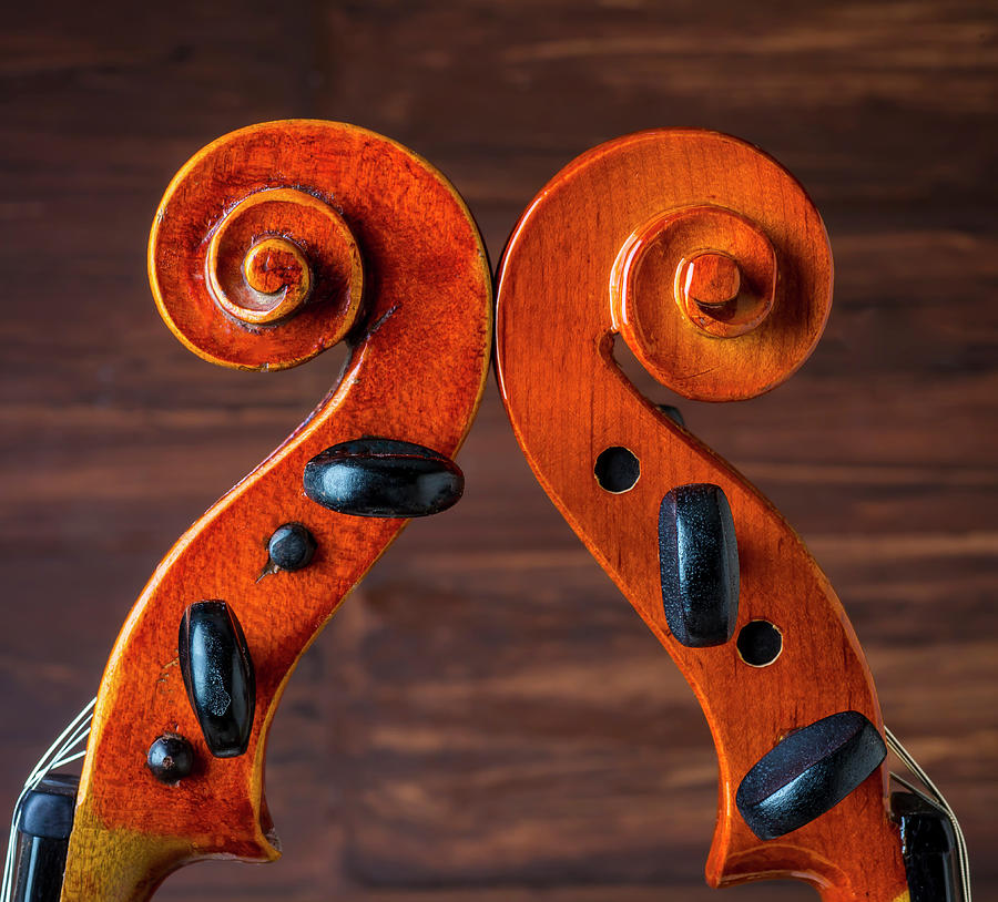 Two Violin Scrolls Photograph by Garry Gay