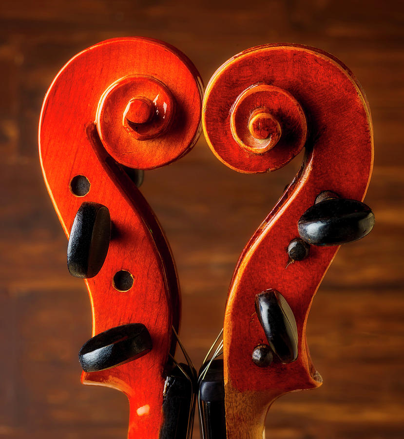 Two Violins Together Photograph by Garry Gay