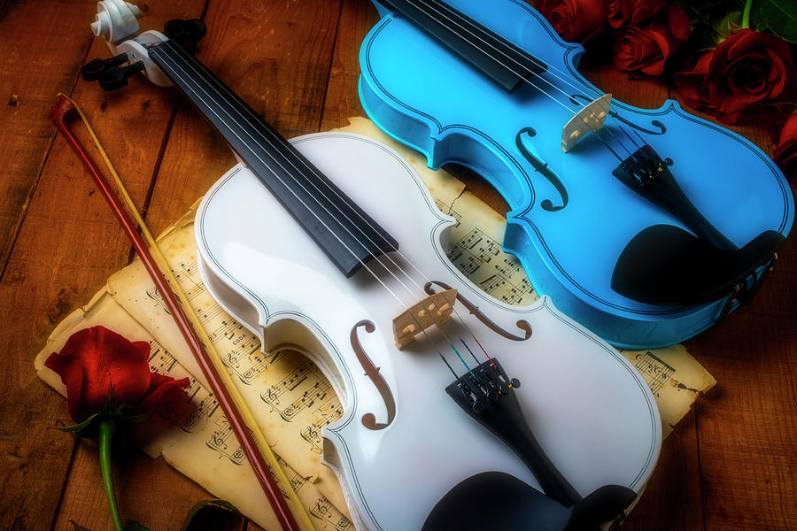 Two Violins White And Blue Photograph by Garry Gay