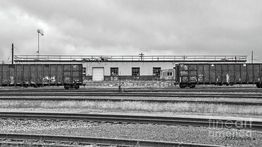 Two Wagons Photograph by Elaine Berger