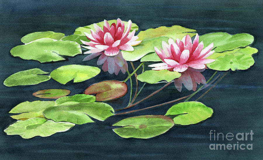 Two Water Lilies with Pads Painting by Sharon Freeman