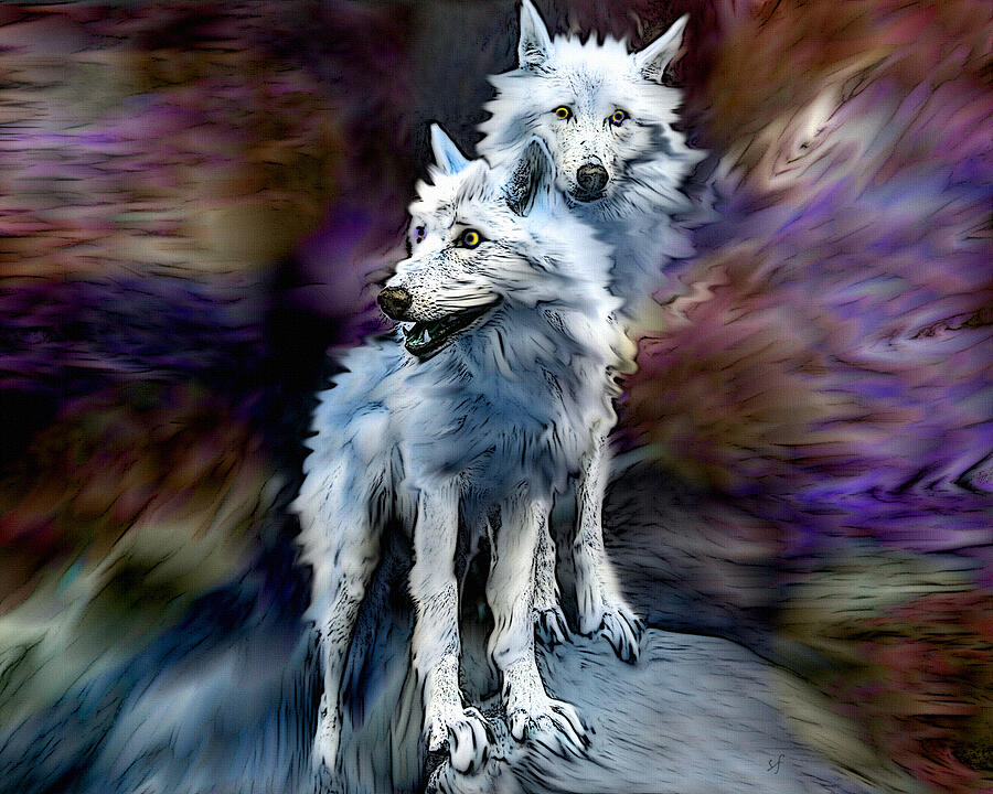 Two White Wolves Mixed Media by Shelli Fitzpatrick