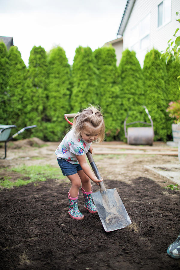 Two Year Old Girl Shoveling Dirt In Her Backyard. Photograph by Cavan