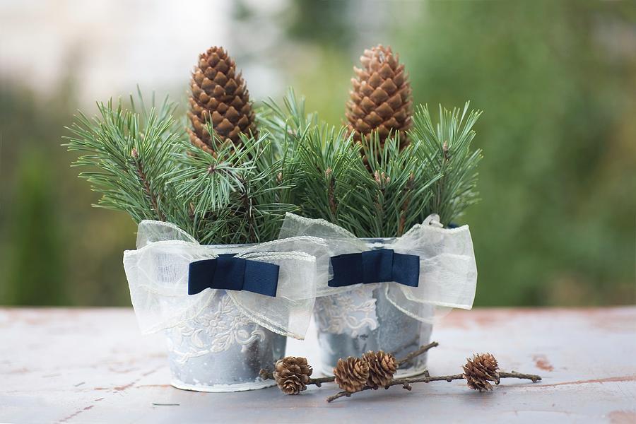 Two Zinc Buckets Decorated With Ribbons, Spruce Twigs And Pine Cones Next To Larch Cones On Surface Photograph by Alicja Koll