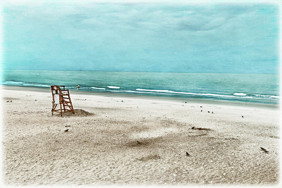 Bird Photograph - Tybee Painted Beach by Tammy Wetzel