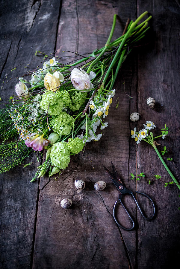 Tying An Easter Bouquet Of Viburnum, Freesias And Ranunculus Photograph by Carolin Strothe