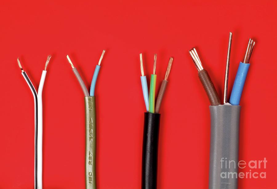 Blue Photograph - Types Of Electrical Cables by Martyn F. Chillmaid/science Photo Library