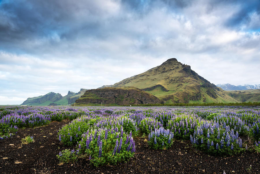 Mountain Photograph - Typical Iceland Landscape With Mountains by Ivan Kmit