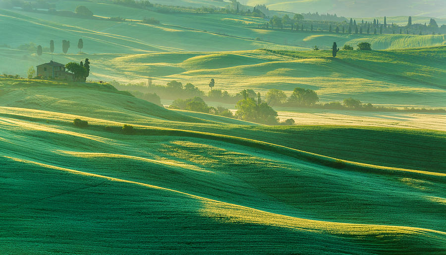 Typical Landscape From Tuscany Photograph by Gehringj