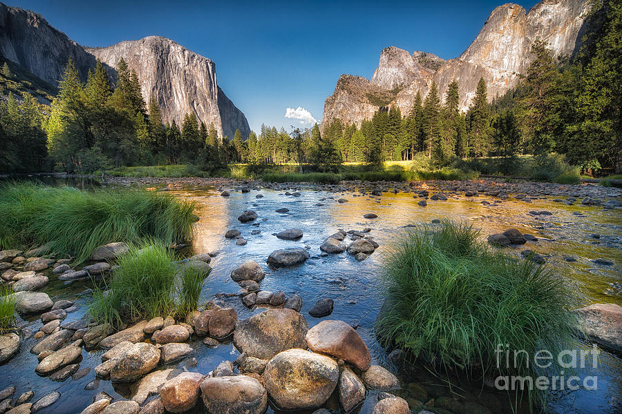 Capitan Photograph - Typical View Of The Yosemite National by Francesco Ferrarini Capitan Photograph - Typical View Of The Yosemite National by Francesco Ferrarini