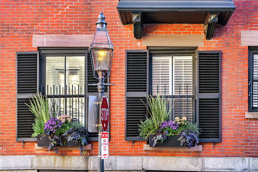 Typical Window In Beacon Hill, Boston, Ma Digital Art by Laura Zeid