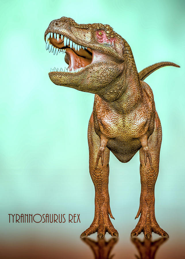 Tyrannosaurs Rex Digital Art by Bob Orsillo