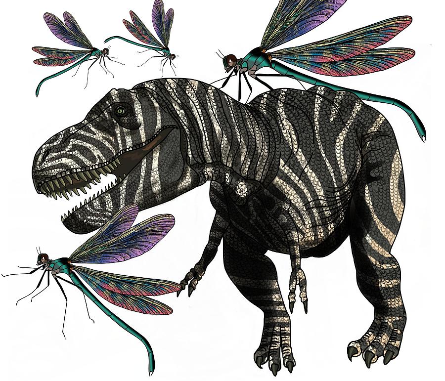 Tyrannosaurus and Dragonflies Drawing by Joan Stratton