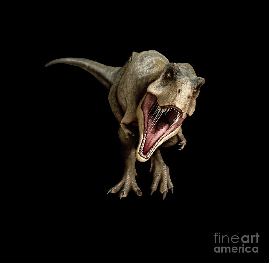 Tyrannosaurus Dinosaur Photograph by Mikkel Juul Jensen / Science Photo Library