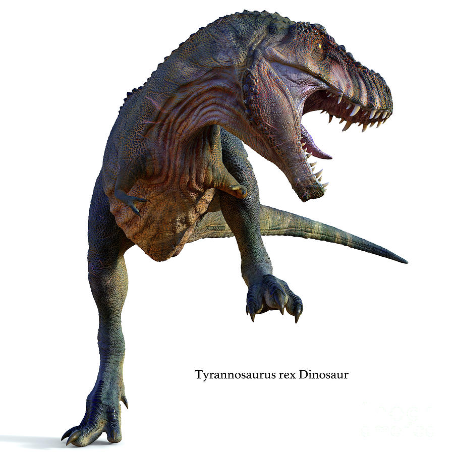 Tyrannosaurus Male Dinosaur with Font Digital Art by Corey Ford
