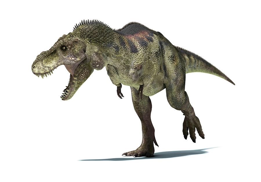 Tyrannosaurus Rex Dinosaur, Artwork Digital Art by Leonello Calvetti