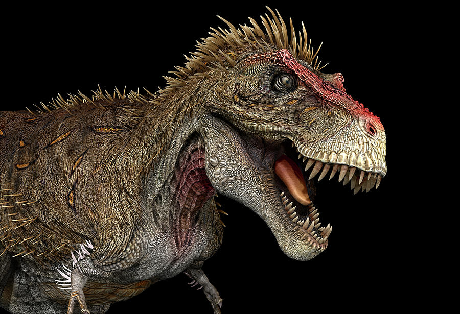 Tyrannosaurus Rex Dinosaur, Profile Photograph by Robert Fabiani