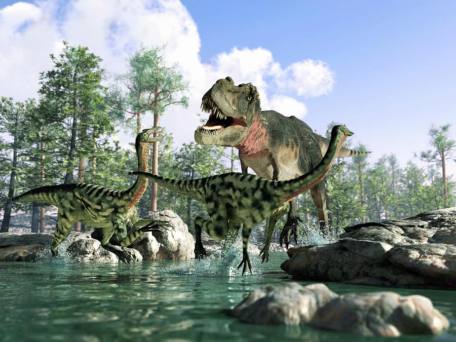 Tyrannosaurus Rex Hunting, Artwork Digital Art by Science Photo Library - Leonello Calvetti