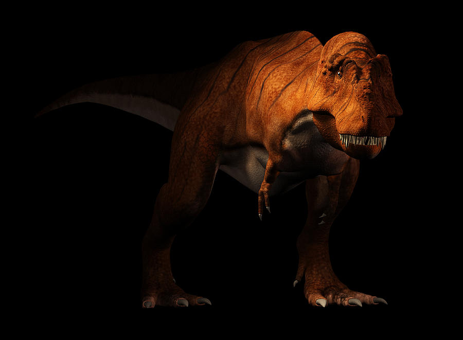 Tyrannosaurus Rex on Black Background Digital Art by Daniel Eskridge