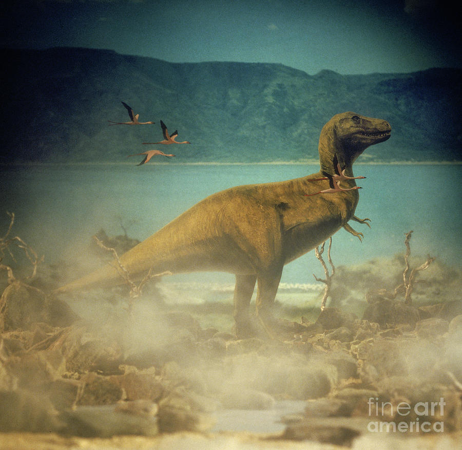 Tyrannosaurus rex Photograph by Warren Photographic