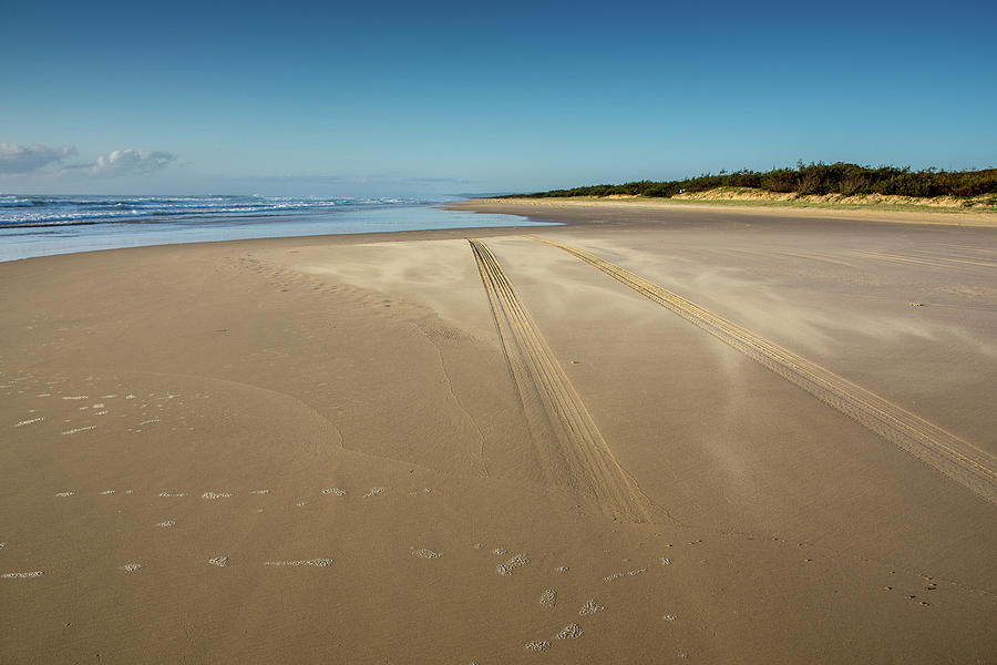 Tyre Tracks on the Beach Photograph by Mark Hunter