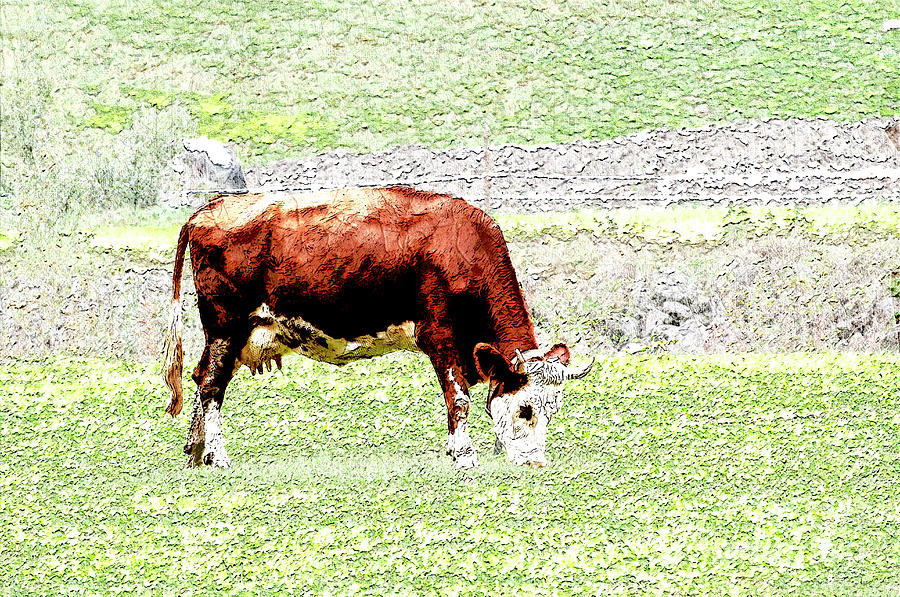 Tyrolean Brown Cow Digital Art by Humorous Quotes