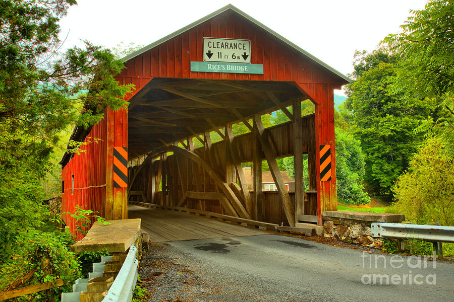 Tyrone Township Covered Bridge Photograph by Adam Jewell