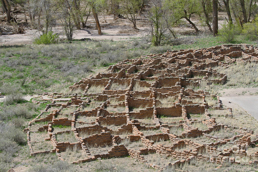 Tyuonyi Ruins, Bandelier National Monument Photograph