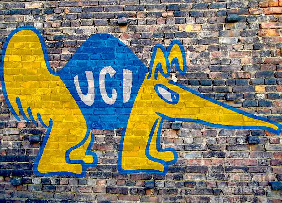 University California Irvine Anteaters Digital Art by Steven Parker