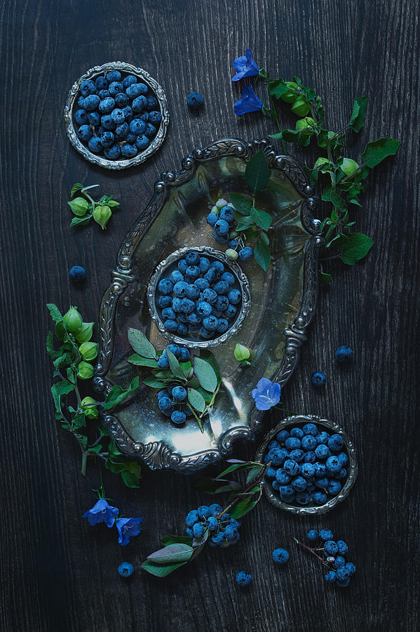 Still Life Photograph - U Pick Blueberries by Lydia Jacobs