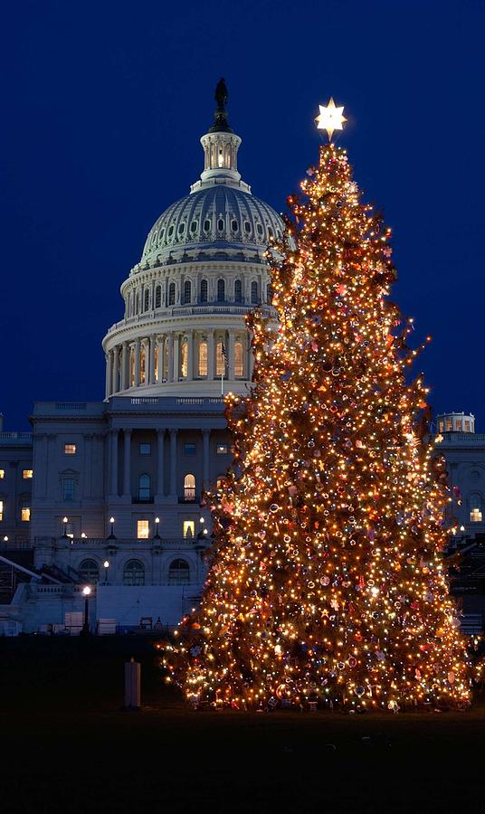 U S Capitol Christmas Tree 2 Painting by Celestial Images