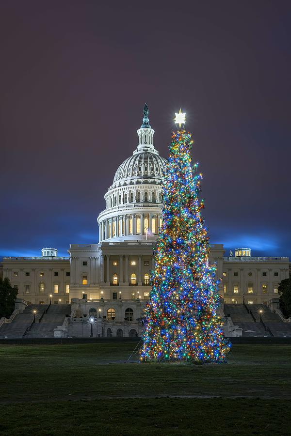 U S  capitol Christmas Tree Lit 1 Painting by Celestial Images