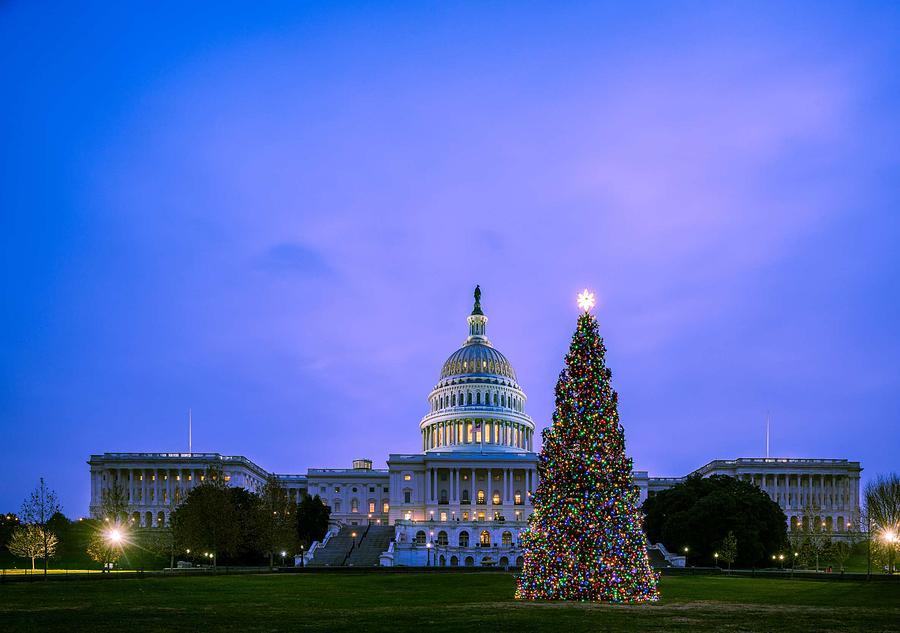 U S  Capitol Christmas Tree Lit 3 Painting